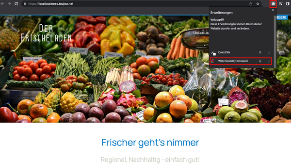 Screenshot wie Sie die Chrome Extension Web Disability Checker im Browser aufrufen