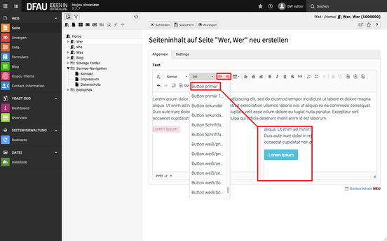 CTA in TYPO3 setzen