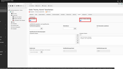 Screenshot TYPO3 V12 Buttonregler