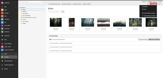 Screenshot TYPO3 V12 Dateiliste Kachelansicht
