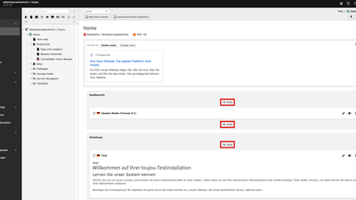 Screenshot TYPO3 V12 element anlegen